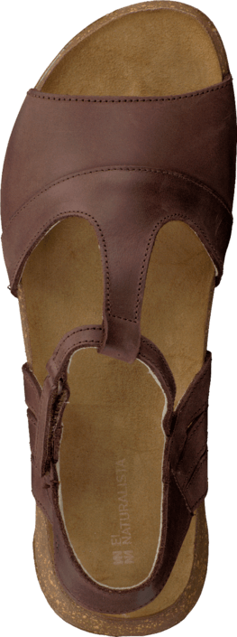 El Naturalista - Wakataua N448 Brown