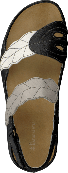 El Naturalista - Ikebana N119 Black