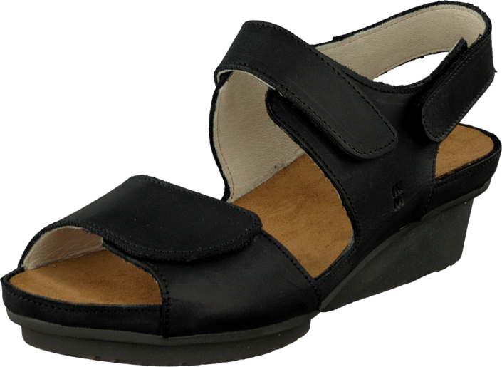 El Naturalista - Code ND20 Black