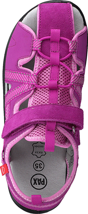 Pax - Hawker Pink