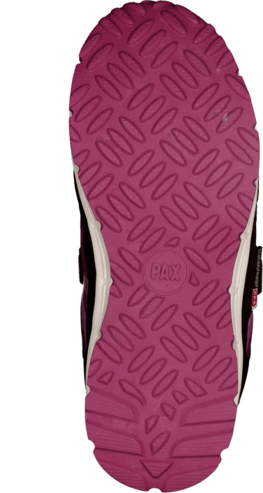 Pax - Marvel Lilac