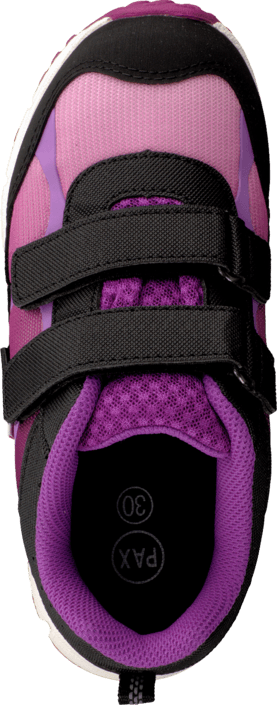 Pax - Marvel Lilac