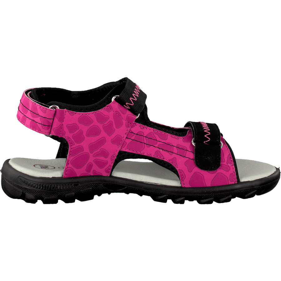 Beetle Lilac - Bild 2