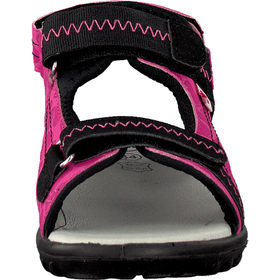 Beetle Lilac - Bild 4