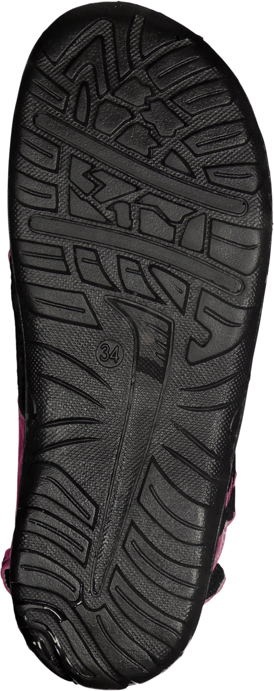 Beetle Lilac - Bild 7