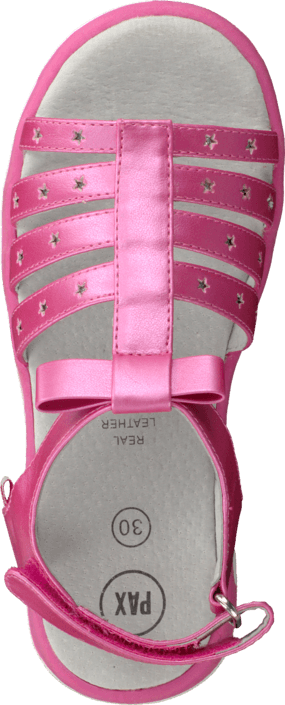 Pax - Missy Pink