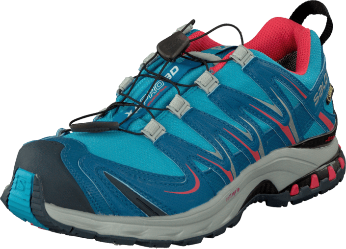 salomon pro 3d gtx w