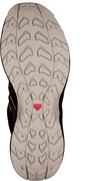 salomon thena gtx