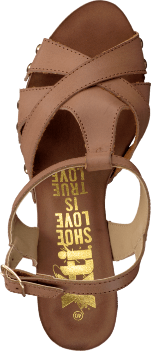 Xti - 27725 Brown