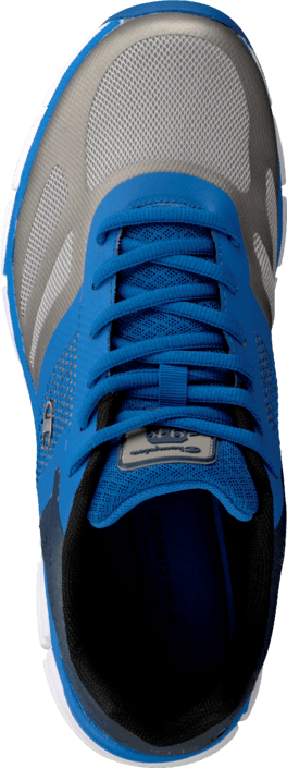 Champion - Tricolor Royal Blue