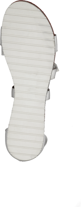 Wildflower - Sasson White