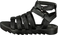 Wildflower - Liz Black