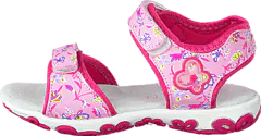 Wildflower - Sama 16 Pink