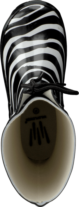 Wildflower - Midir Zebra