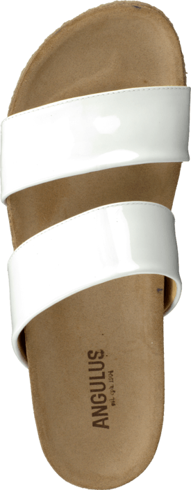 Angulus - 5466-101 White