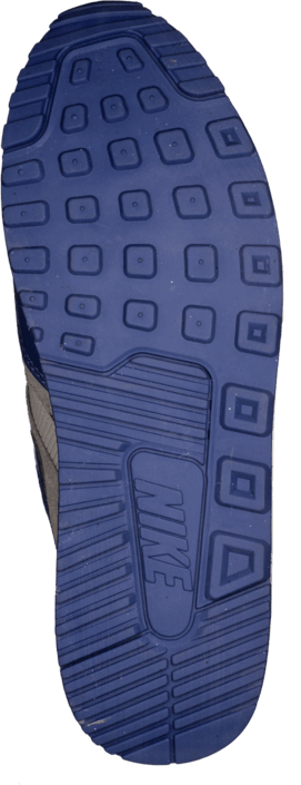 Nike - Wmns Air Max Light Essential Grey/Blue