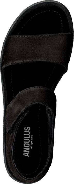 Angulus - 5443-102 Black