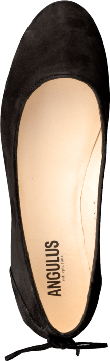 Angulus - 3511-101 Black
