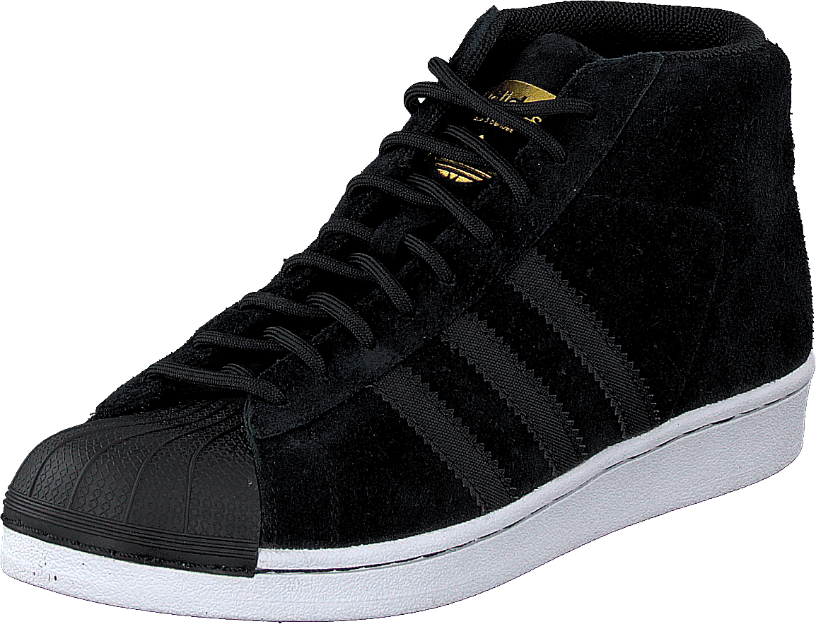 Pro Model Winterized Pack Core Black/Ftwr White