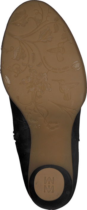 El Naturalista - Colibrie N495 Black