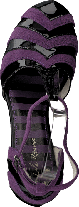 Lola Ramona - Angie P 412204 Purple/Black