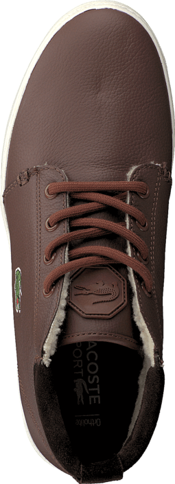 lacoste ampthill terra put