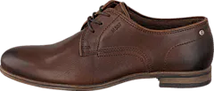 Sneaky Steve - H1501 Markham Low Brown