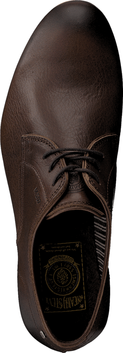 Sneaky Steve - H1501 Markham Low Brown