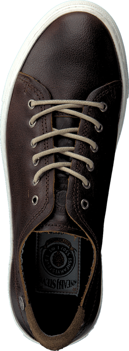 Sneaky Steve - H1503 Buddy Low Dark Brown