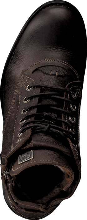 Sneaky Steve - H1512 Kingdom Brown