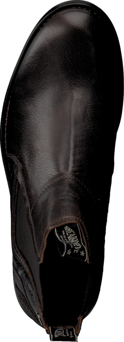 Sneaky Steve - H1514 Lance Brown