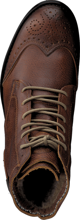 Sneaky Steve - H1516 Meadows Cognac