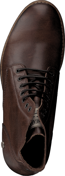 Sneaky Steve - H1526 Amper Brown