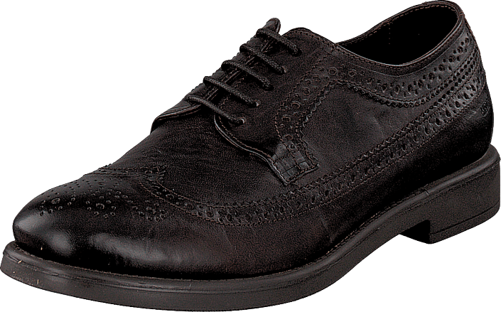 Sneaky Steve - H1529 Vega Brown