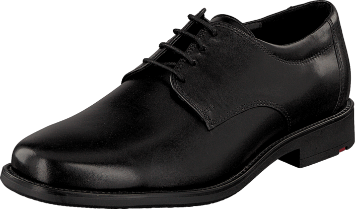 Lloyd - Nevio Black