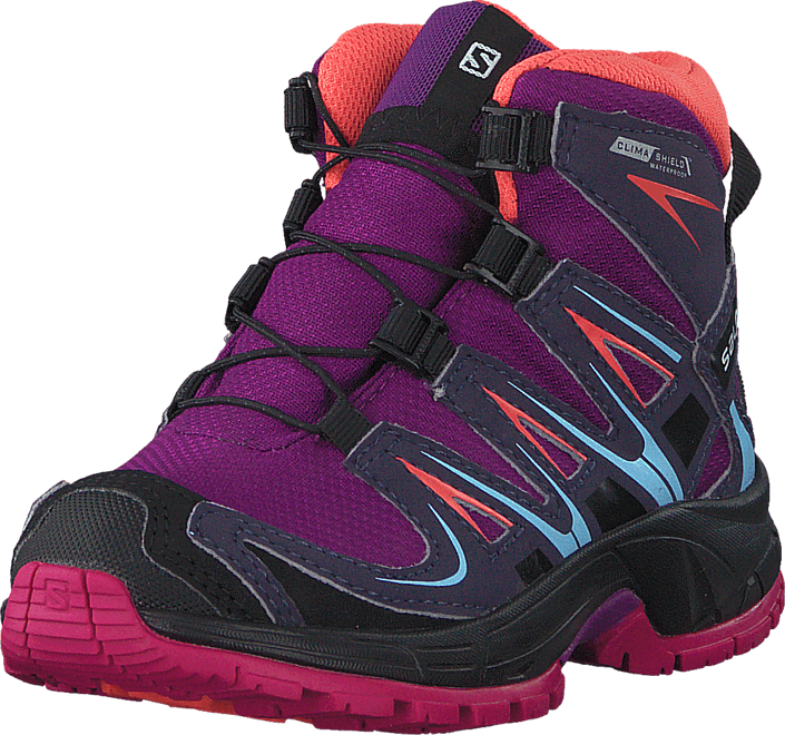 salomon xa pro 3d mid cswp k