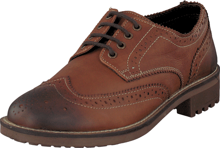 Senator - 458-2026 Brown
