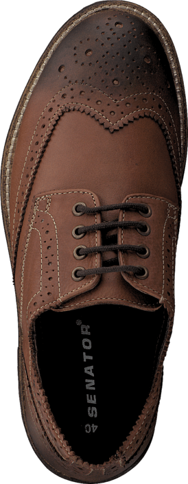 Senator - 458-2026 Brown