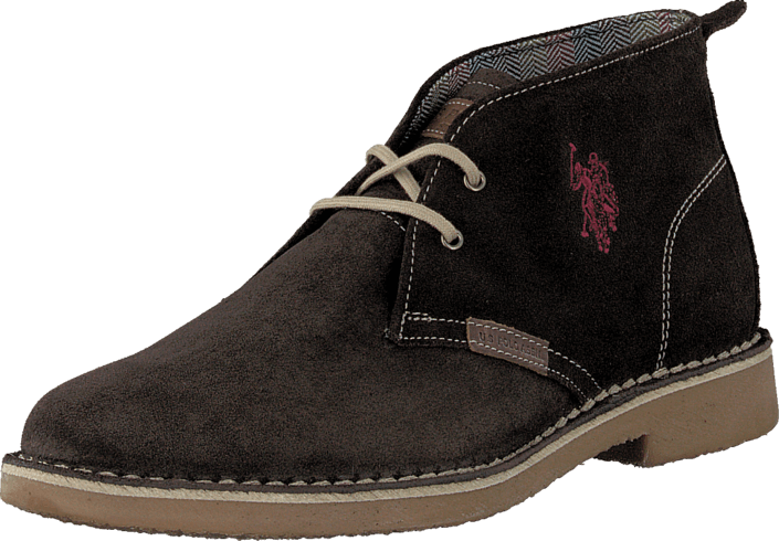 U.S. Polo Assn - Amadeus 6 Dark Brown