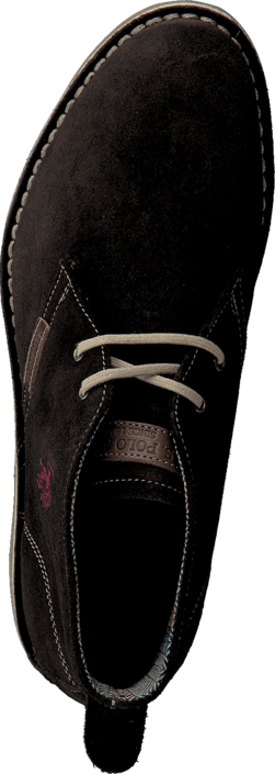 U.S. Polo Assn - Amadeus 6 Dark Brown