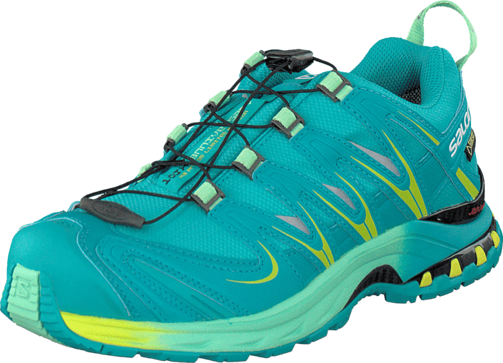salomon xa pro 3d gtx ltd