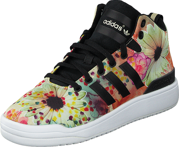 adidas veritas dames