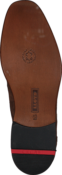 Lloyd - Hadley Cigar
