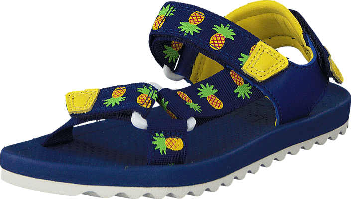 clarks the bay