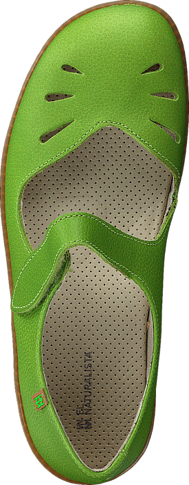 El Naturalista - El Viajero N249 Green
