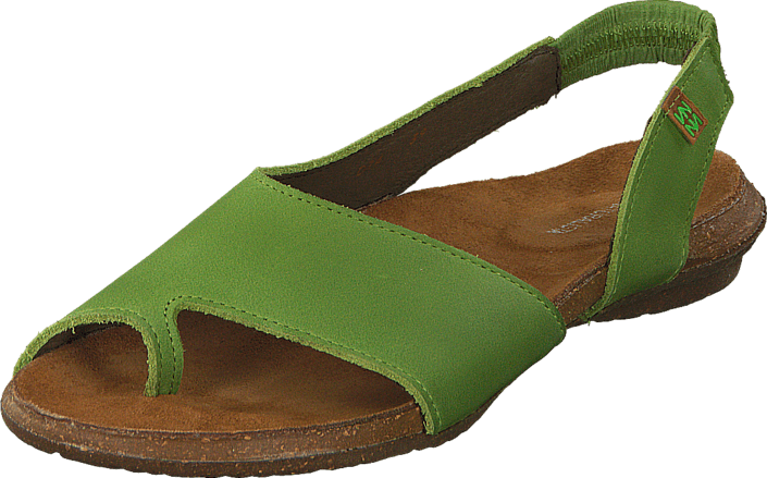 El Naturalista - Wakataua ND74 Green