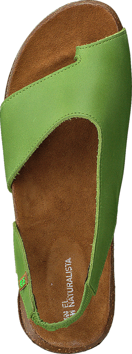 El Naturalista - Wakataua ND74 Green