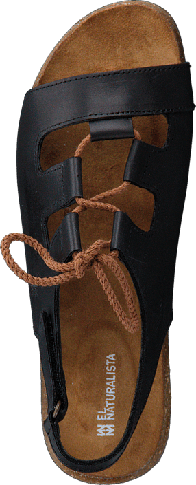 El Naturalista - Wakataua ND73 Black