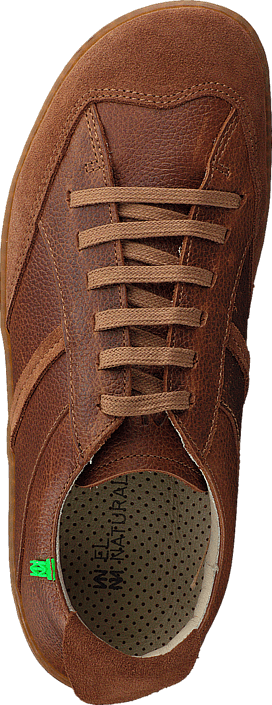 El Naturalista - El Viajero N273 wood