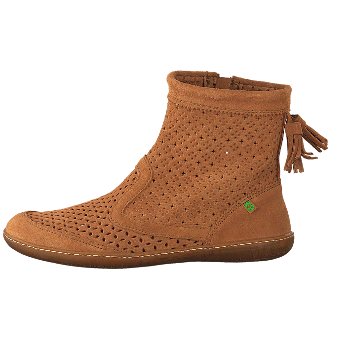 el naturalista n262